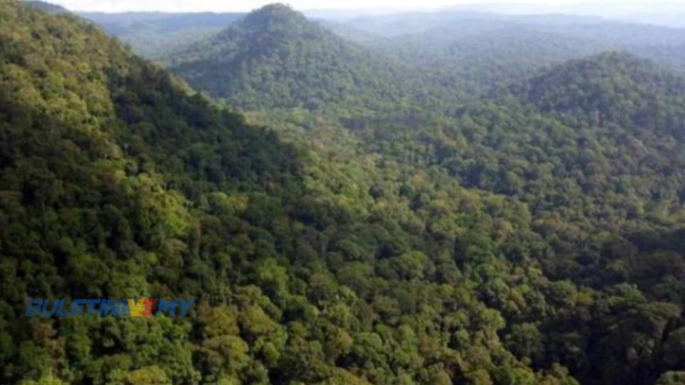 Peratus Keluasan Sabah Adalah Hutan Simpan Dilindungi Hajiji