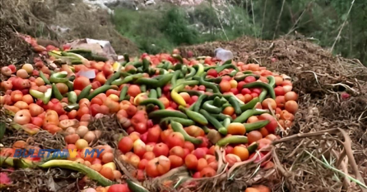 Wujudkan Pasaran Baharu Atasi Masalah Lambakan Sayur Pppmch Buletin