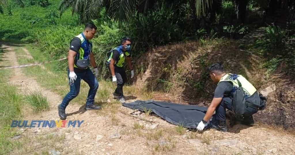 Penemuan Rangka Manusia Di Tepi Jalan Polis Tunggu Laporan Bedah