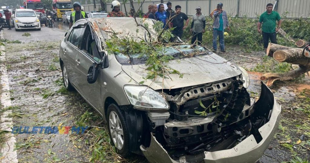 Pokok Tumbang Hempap Kereta Suami Isteri Terselamat BULETIN TV3 Malaysia