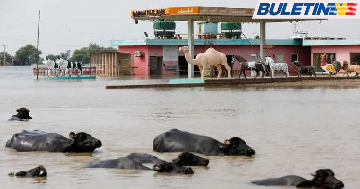 Penyakit Berjangkit Merebak Di Wilayah Banjir Di Pakistan