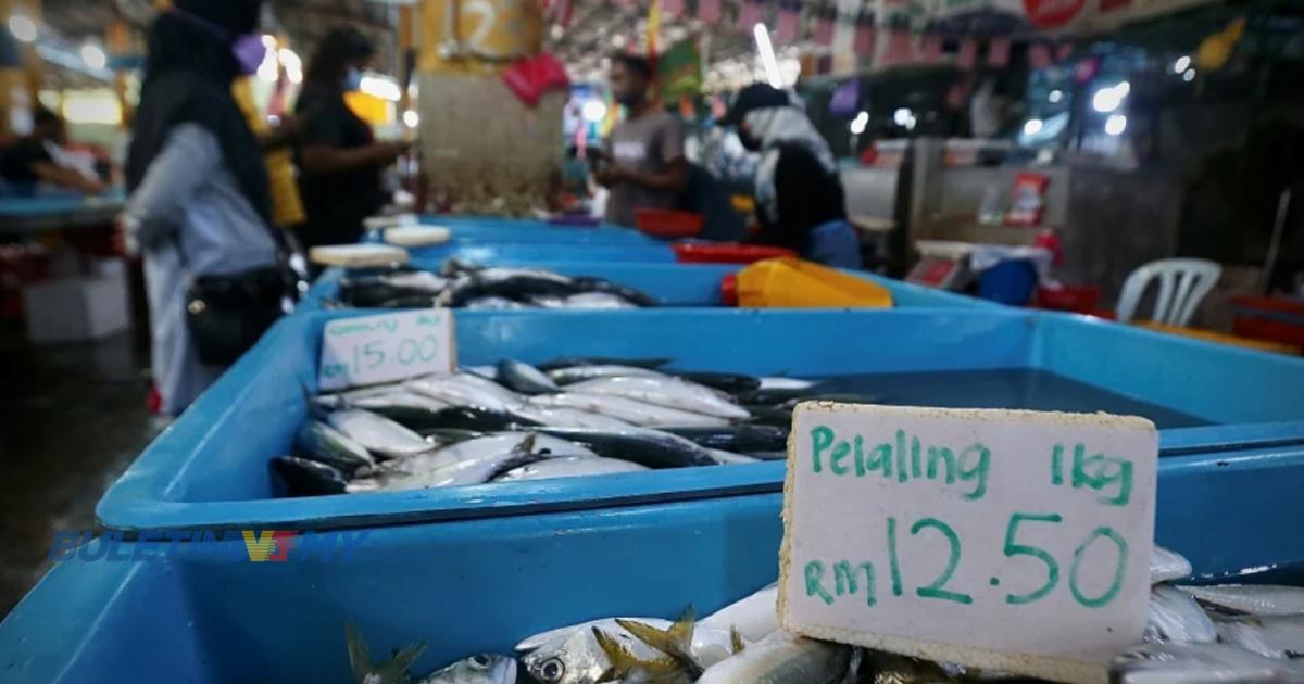 Kos operasi tinggi punca pendaratan ikan kurang di Tok Bali