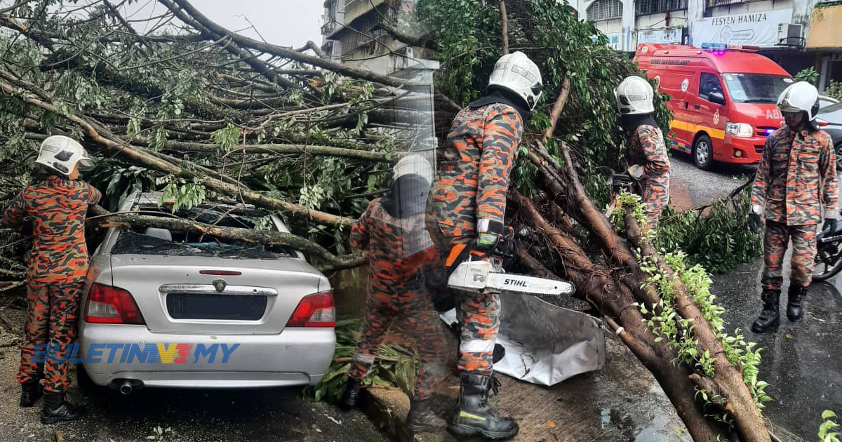 Empat kenderaan rosak dihempap pokok di Pandan Jaya