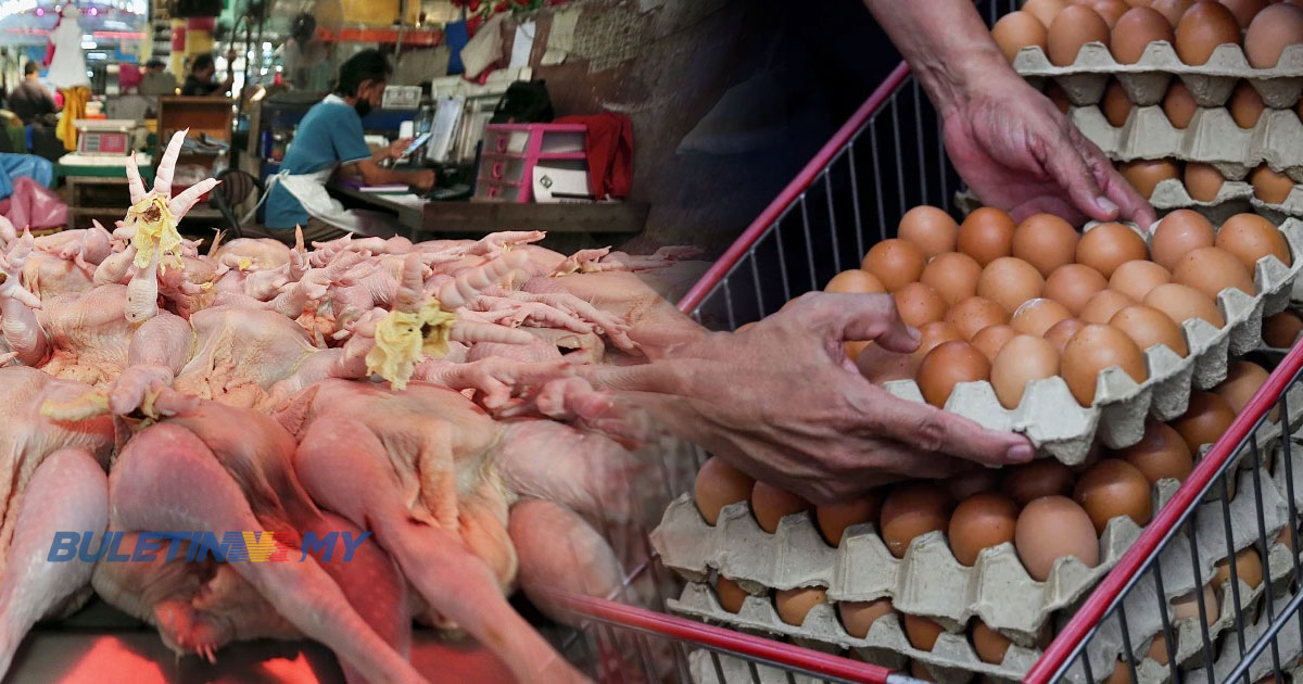 [VIDEO] Lebih RM500,000 kompaun terhadap peniaga ayam, telur – KPDNHEP