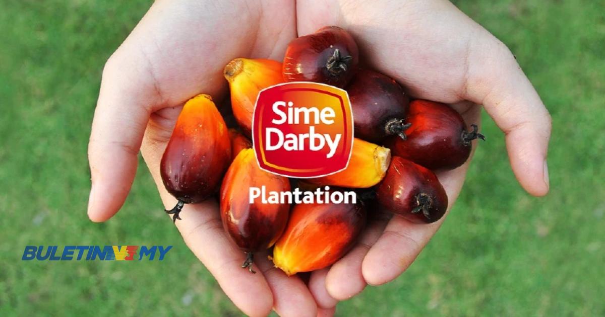 Sime Darby Plantation akan peroleh buah tandan segar mampan daripada pekebun kecil