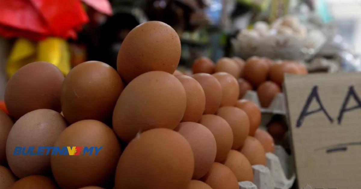 Tiada laporan diterima KPDNHEP berkaitan harga telur