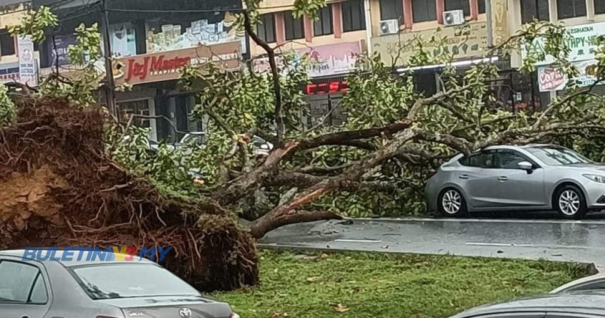 [VIDEO] Pokok tumbang hempap 3 kereta