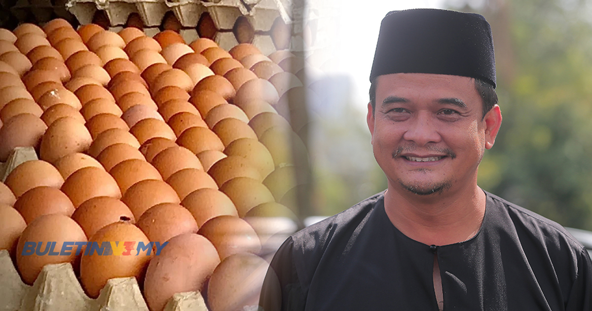 Kekurangan bekalan telur di Johor juga kerana pasaran luar, eksport