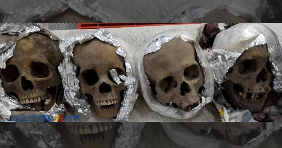 Empat tengkorak manusia dijumpai dalam bungkusan ke AS