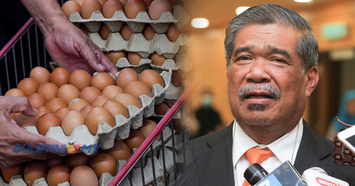 Kekurangan bekalan telur semakin pulih – Mohamad Sabu