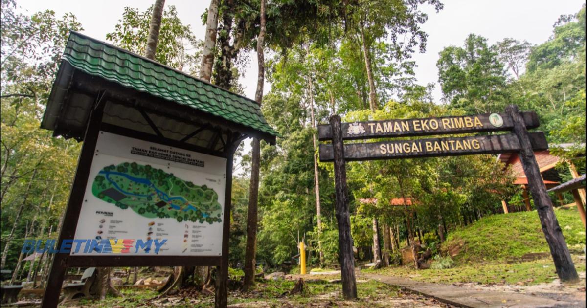 [VIDEO] Taman eko, hutan simpan kekal Johor ditutup kepada pengunjung mulai esok