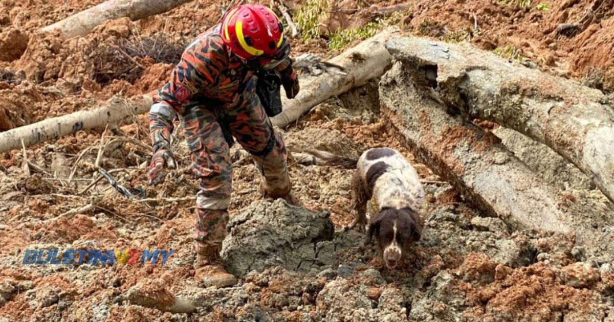 Tragedi Batang Kali: Operasi SAR diteruskan hingga 4 pagi ini.