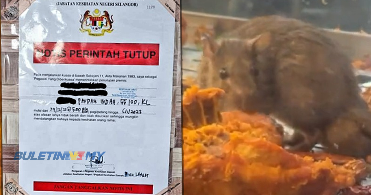 [VIDEO] Tikus jamah ayam goreng, KKM arah restoran ditutup 14 hari