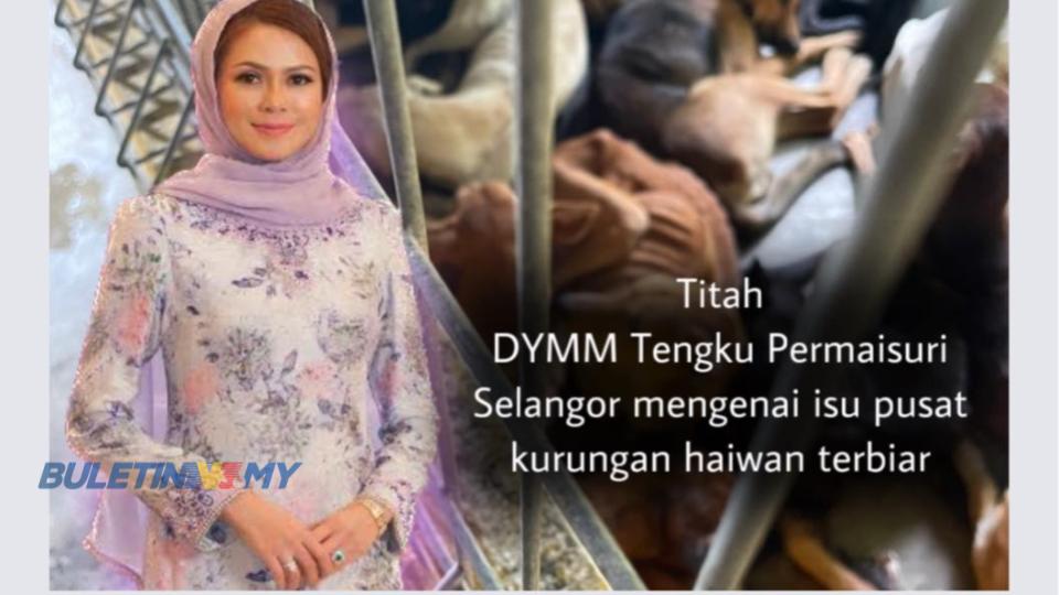 Majlis Majlis Perbandaran Di Selangor Digesa Perbaiki Tatacara Pengurusan Pusat Kurungan Haiwan 8625