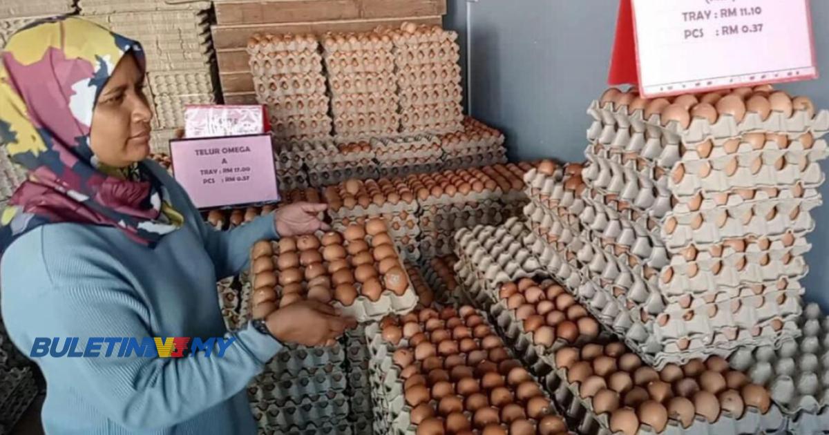 Telur ayam kotor murah tetapi bukan pilihan pengguna