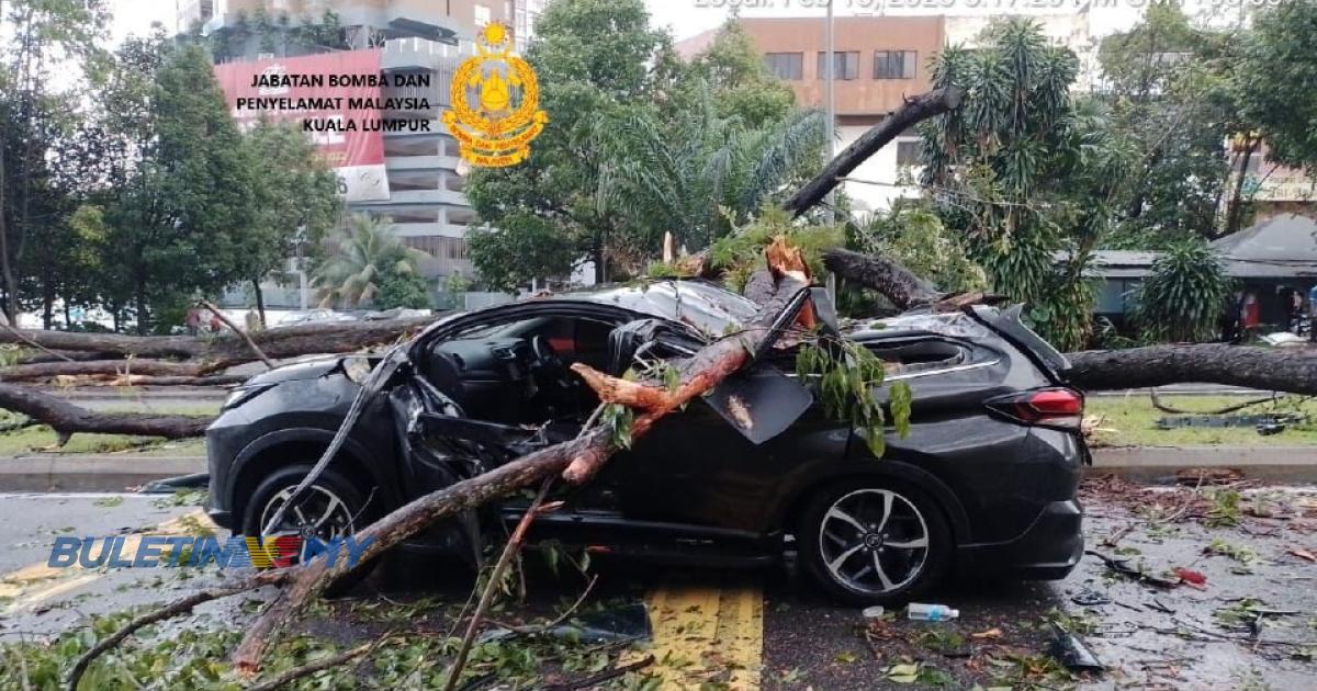 [VIDEO] Pokok tumbang hempap kereta, dua orang cedera