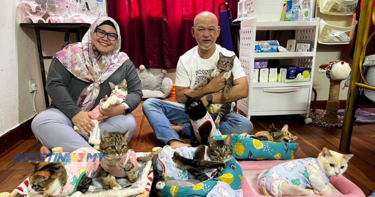 Pasangan berhati mulia rawat kucing kurang upaya