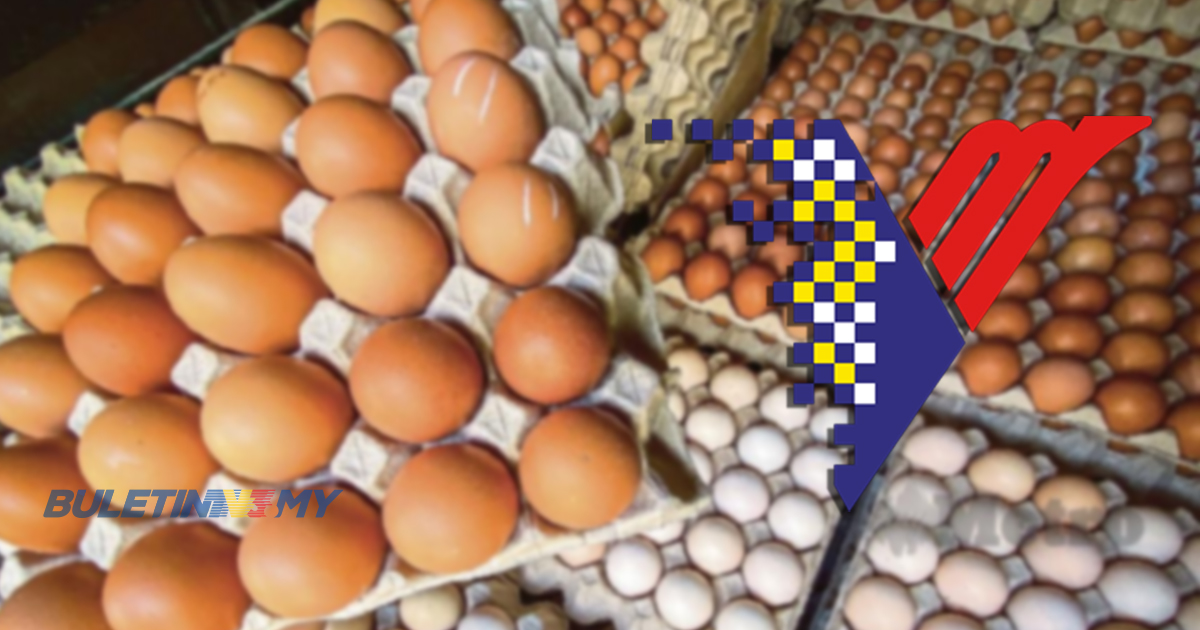Permohonan subsidi ayam dan telur bagi 2023 belum dibuka – JPV