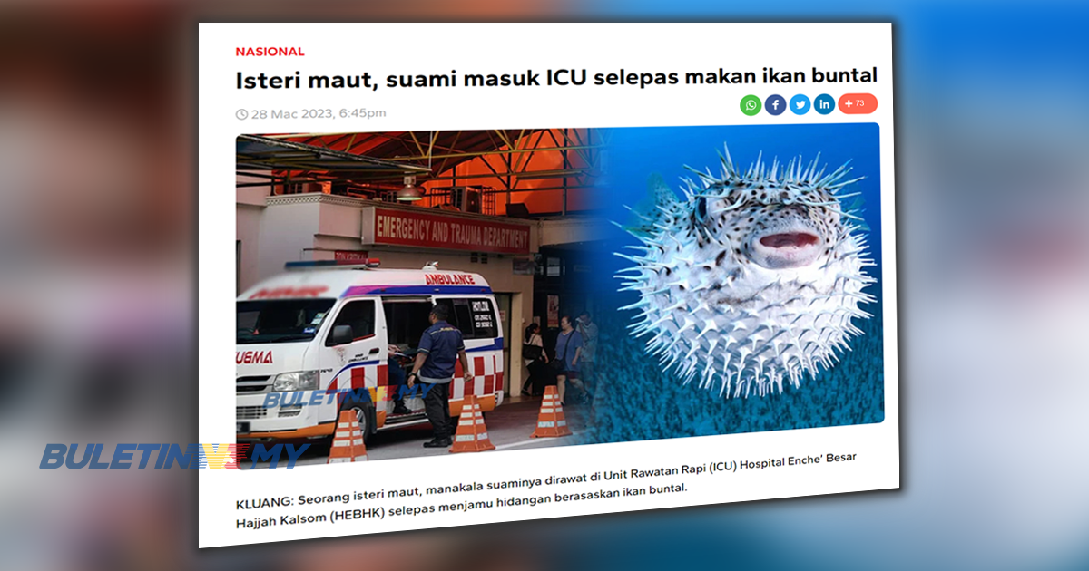 Jualan ikan buntal di Johor dibenarkan – EXCO 