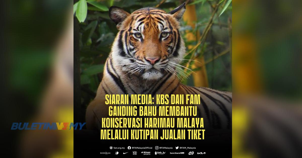 FAM sumbang kutipan jualan tiket kepada KBS dan NRECC bantu konservasi Harimau Malaya