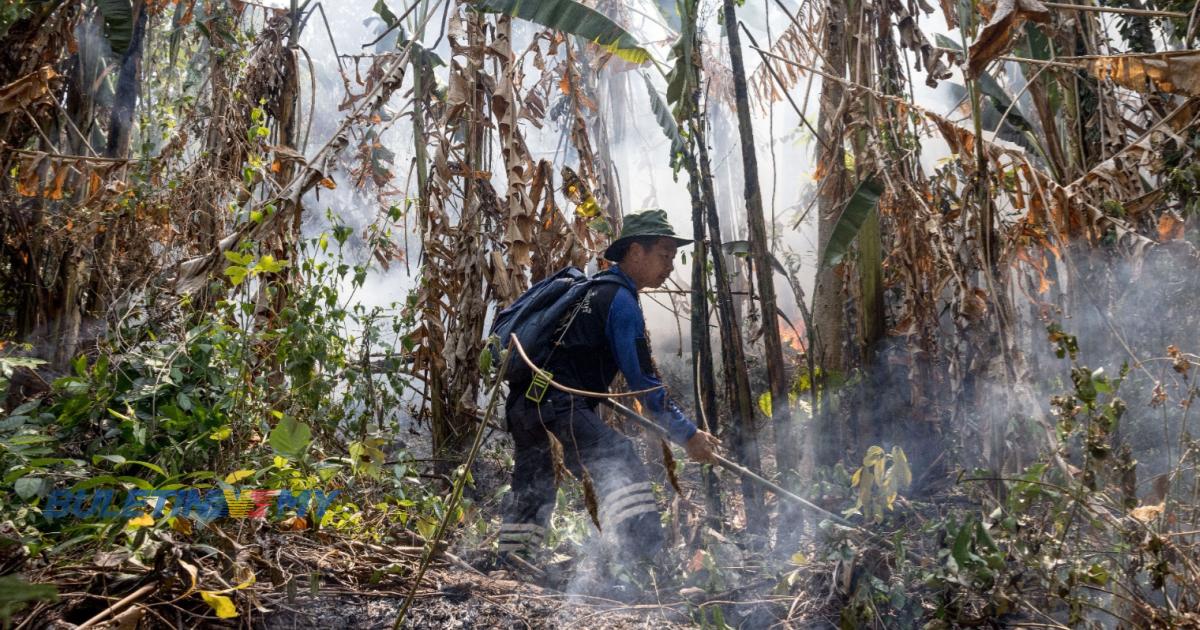 Penduduk Thailand saman kerajaan kerana jerebu akibat pembakaran ladang