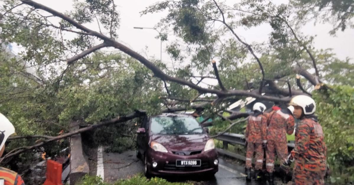 Tiga kereta dihempap pokok di MRR2