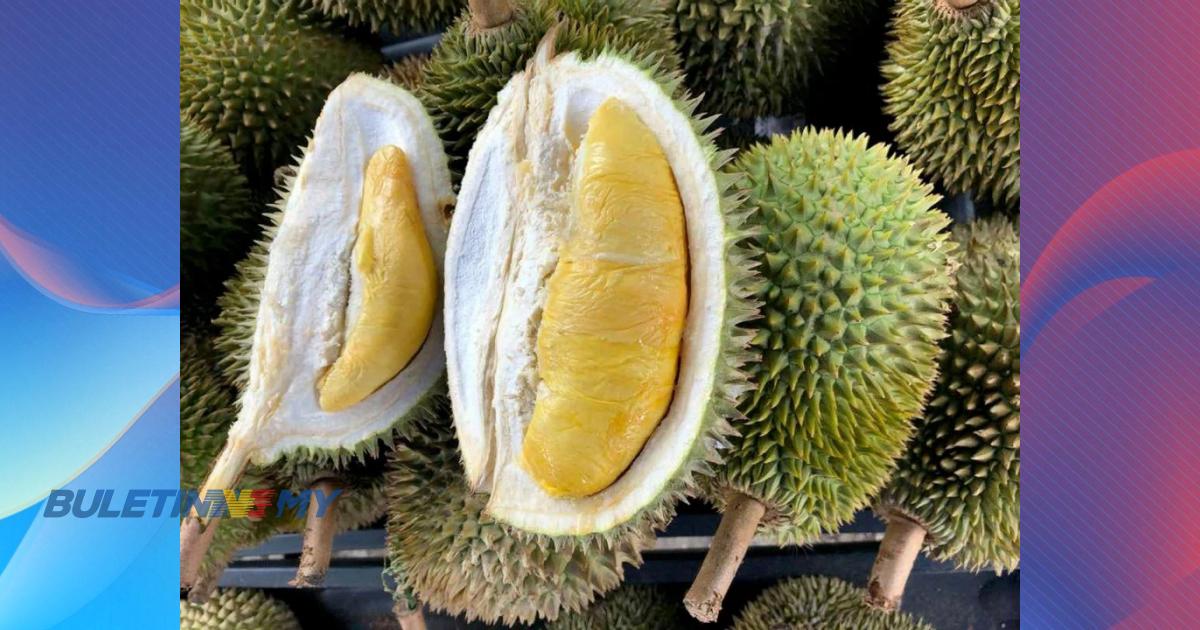 Gamit pelancong melalui pakej ‘Durian Tourism 2023’