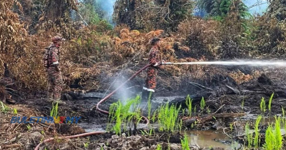 30 hektar hutan terbakar di Pekan