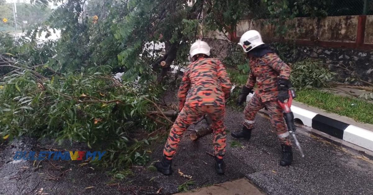 Dua kejadian pokok tumbang akibat hujan lebat di ibu negara 