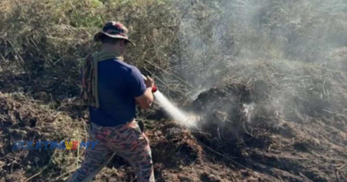 Bomba sahkan kebakaran hutan Kuala Langat dipadamkan sepenuhnya
