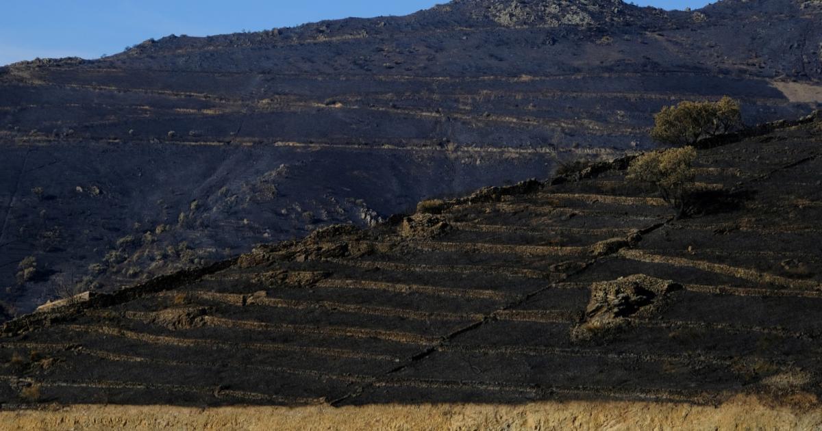 Lebih 8,000 hektar kawasan musnah, belum ada petanda kebakaran berhenti di Sepanyol