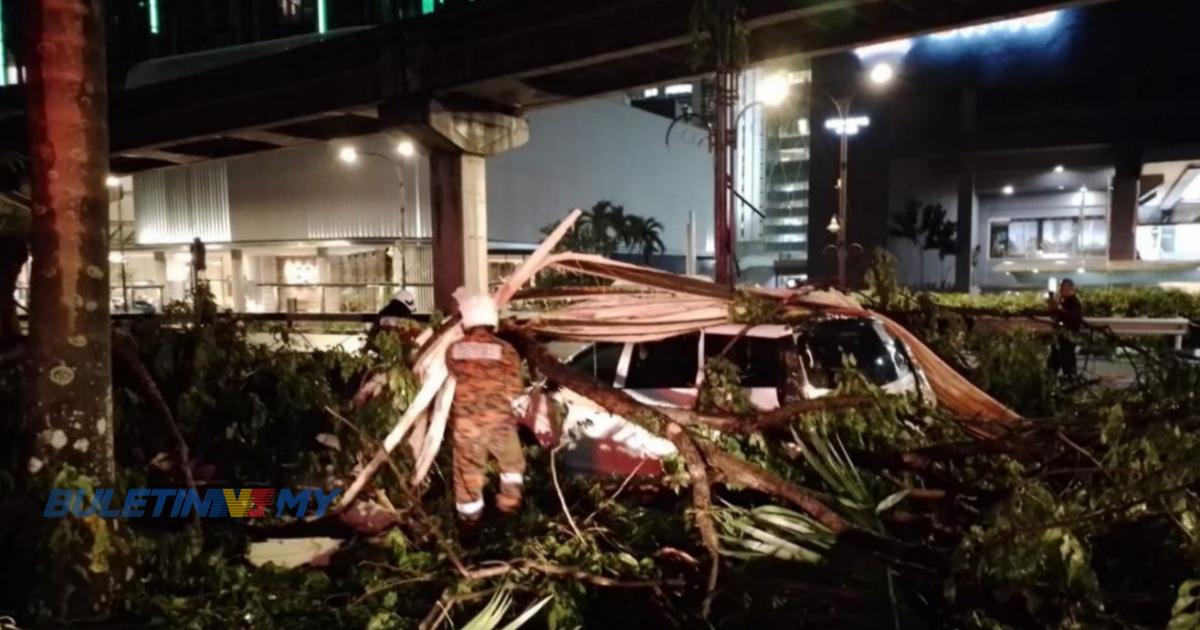 [VIDEO] 13 kenderaan rosak dihempap pokok tumbang