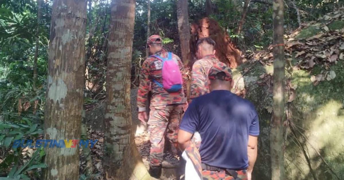 Remaja perempuan cemas sesat di Hutan Bukit Pelindung