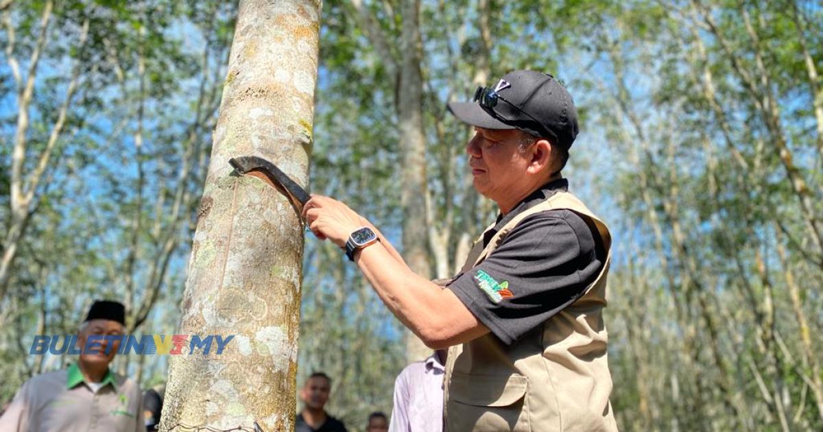 [VIDEO] Pengenalan teknologi penghasilan getah kepada pekebun kecil diperhalusi