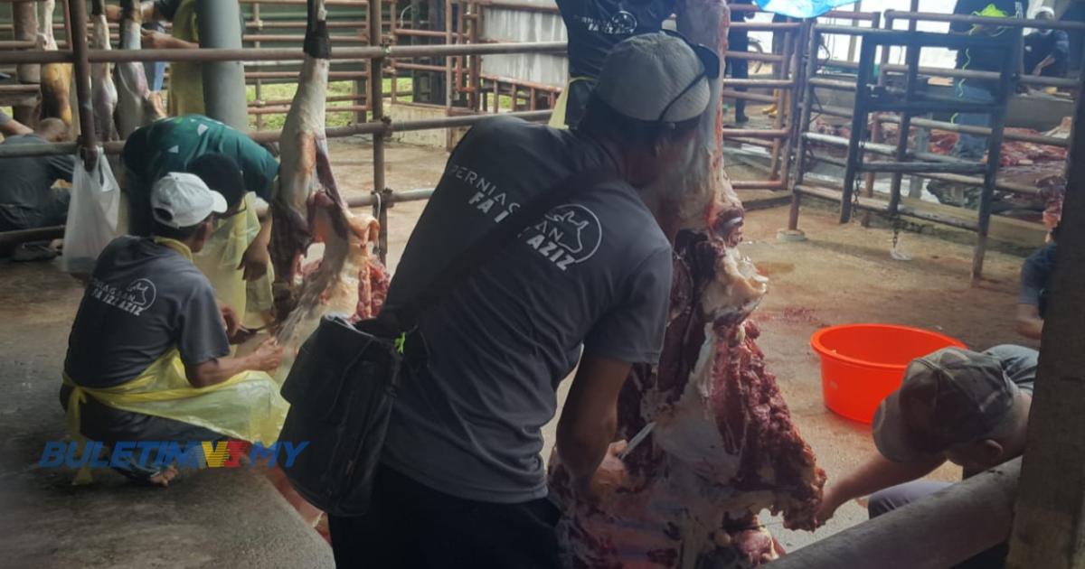 Kerabat diraja Johor sumbang 19 ekor lembu korban