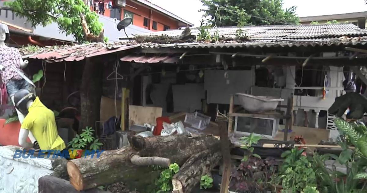 [VIDEO] Warga kota rayu rumah usang & uzur segera dibaiki