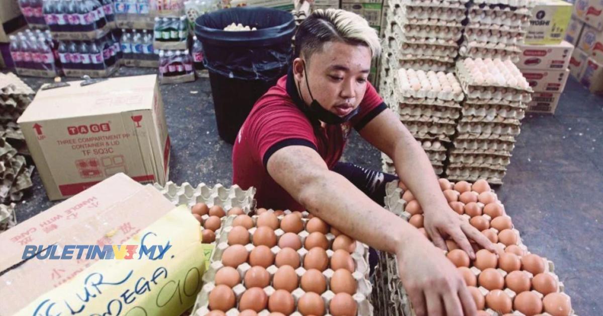 [VIDEO] PM setuju subsidi, kawalan harga ayam & telur diteruskan