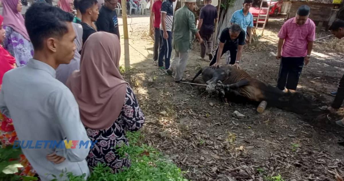 ‘Sebak dapat tunai ibadah korban hasil menabung’