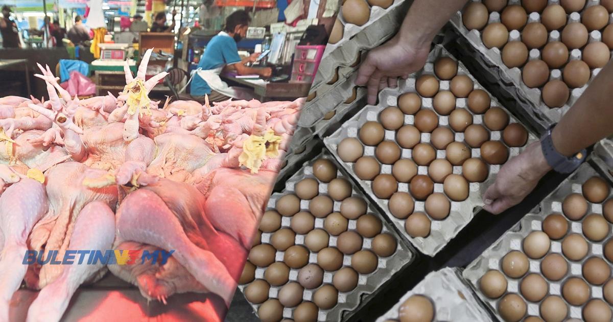 Bekalan telur, ayam pulih – Mohamad Sabu 