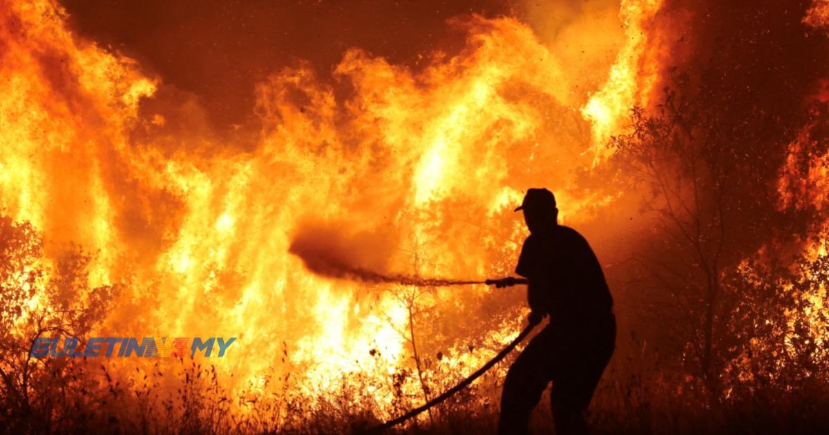 Kebakaran hutan di Greece ragut nyawa