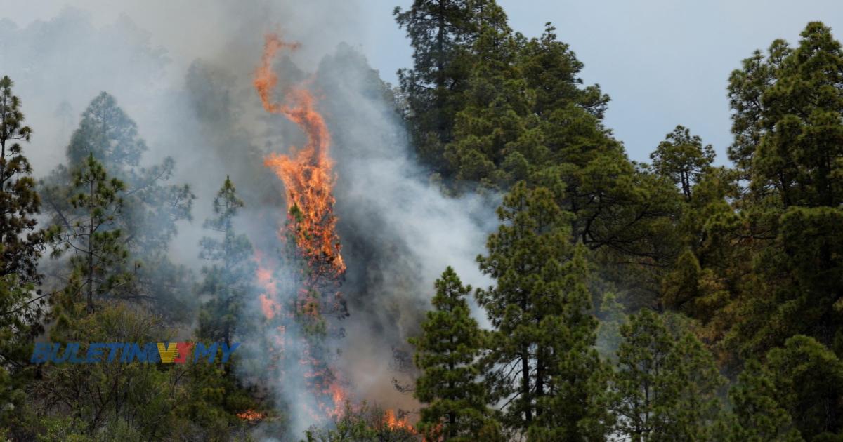 4,000 penduduk dipindahkan susulan kebakaran hutan di Sepanyol