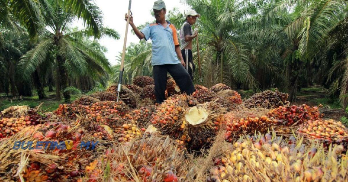 FELDA mudah laksana projek jika kerajaan negeri wujudkan hubungan baik dengan pusat – Shabery