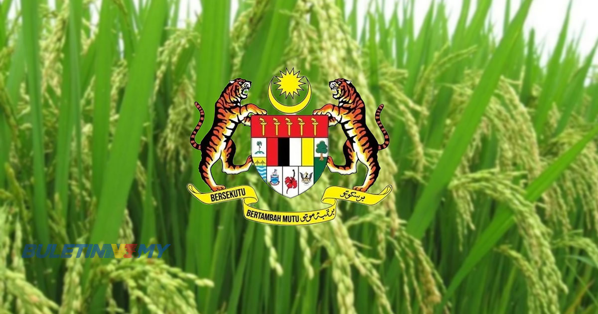 Gantung lesen jika jual benih padi sah melebihi harga kawalan – KPKM