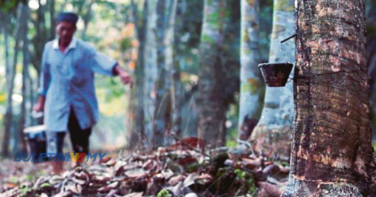 LGM perkenal program TARGET untuk tingkat pendapatan pekebun kecil getah 