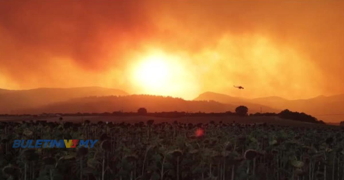 Kebakaran hutan ragut 1 nyawa di Greece