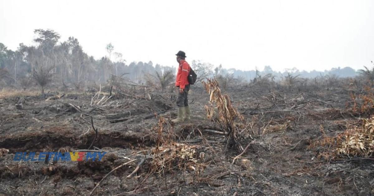 Indonesia giat padam kebakaran besar hutan, ladang