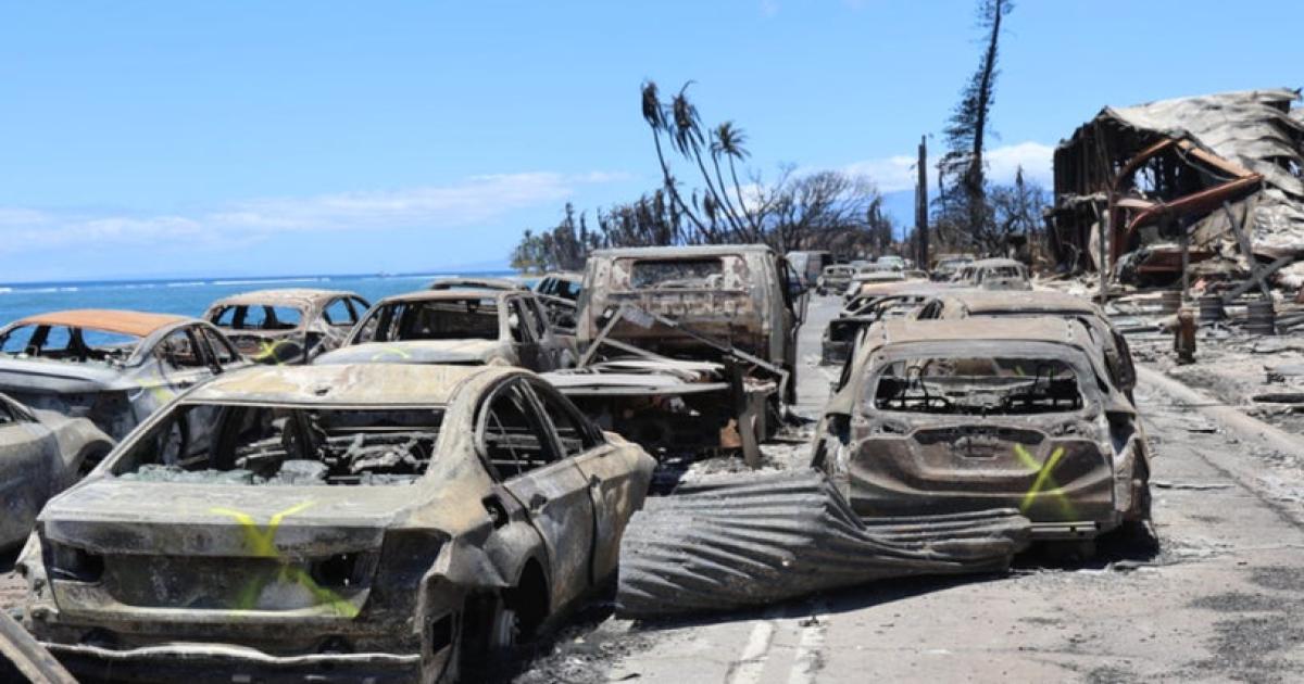 Kebakaran Maui adalah malapetaka – mangsa