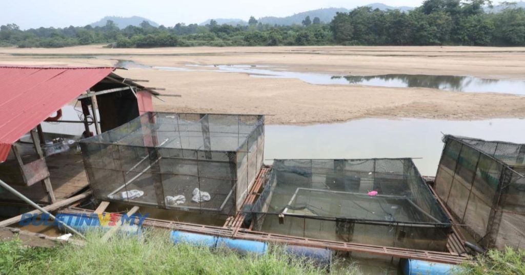 [VIDEO] Air Sungai Pahang Kering, Penternak Ikan Rugi | BULETIN TV3 ...