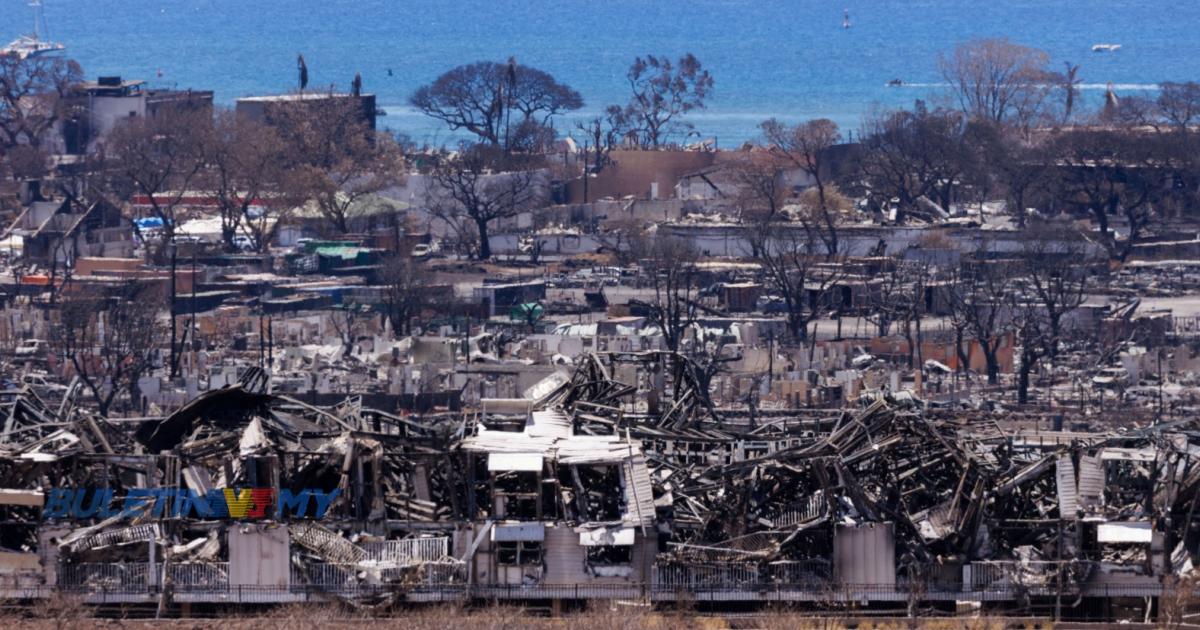 Kebakaran hutan Hawaii, Ketua Pengurusan Kecemasan letak jawatan diganti segera
