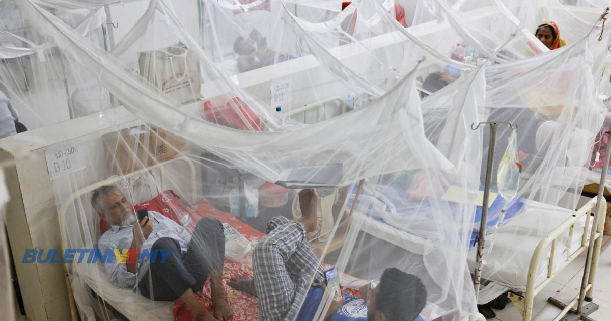 Angka kematian melebihi 300, kes demam denggi cetus kecemasan kesihatan di Bangladesh